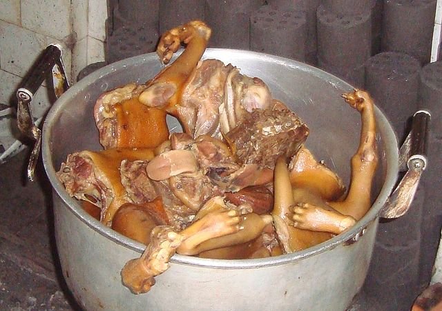 640px-Dog_meat_in_a_pot_01.jpg